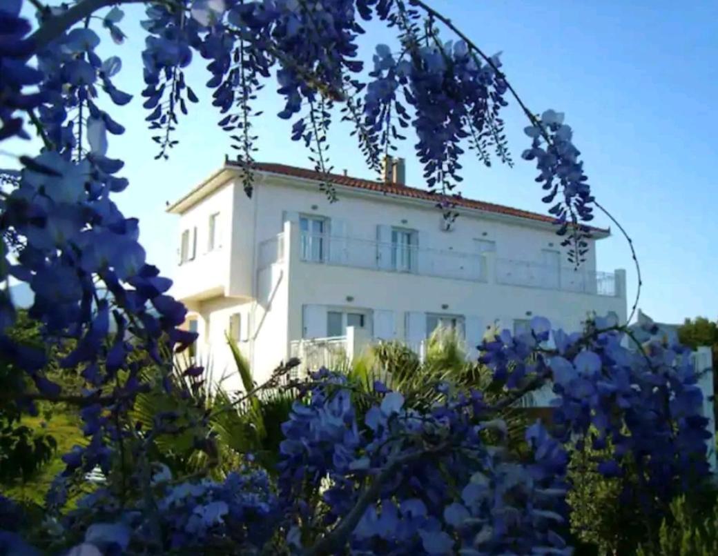 Kalamies - Secluded Beach Apartments Skala  Экстерьер фото